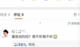 官宣结婚爆料视频大全下载,官宣结婚！揭秘各大明星结婚爆料视频大全