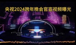 文轩爆料官宣视频,精彩内容抢先看