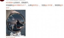 文轩爆料官宣视频,精彩内容抢先看