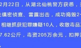 警方热点爆料新闻内容,最新热点案件追踪，揭秘背后惊人真相
