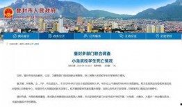 登封市最新爆料新闻直播,揭秘重大新闻事件背后的真相