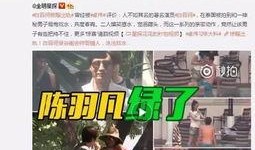 小坤被爆料出轨视频,真相与争议