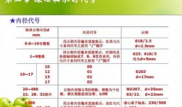 厦门娱乐爆料公司排名,揭秘行业佼佼者