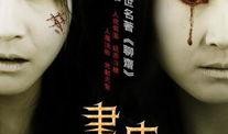 画皮 -高清在线观看,惊悚奇幻，揭秘千年诅咒之谜
