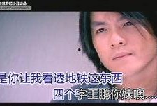 娱乐圈爆料鸟哥百度云,揭秘鸟哥百度云背后的故事